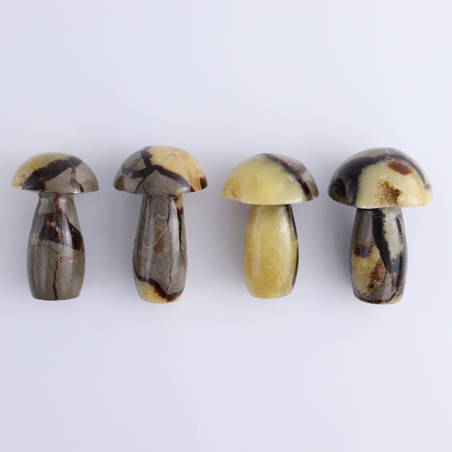 Septarian Mushrooms Set of 13 - Expert Wholesale and Supplier of Wholesale Crystals & Bulk Gemstones, ["Mushrooms","Septarian"]