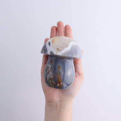 Agate Mushrooms Set of 5 - Expert Wholesale and Supplier of Wholesale Crystals & Bulk Gemstones, ["Agate","Madagascar","Mushrooms"]