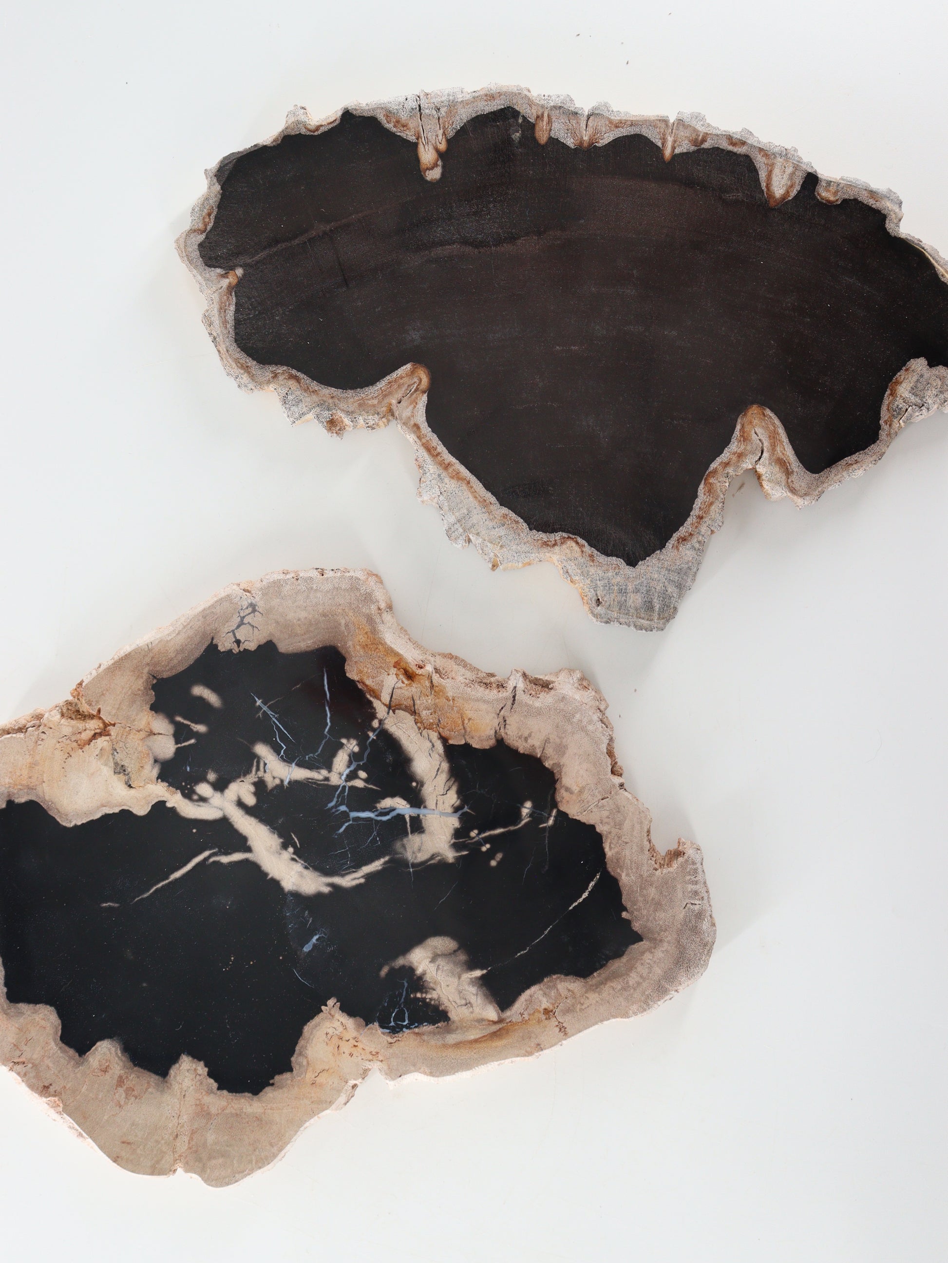 Petrified Wood Slices and Slabs Set of 2 - Expert Wholesale and Supplier of Wholesale Crystals & Bulk Gemstones, []