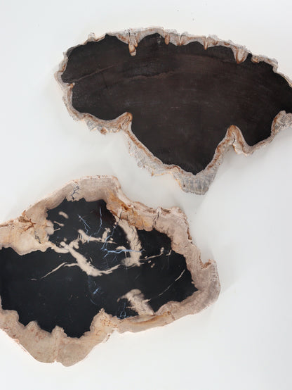 Petrified Wood Slices and Slabs Set of 2 - Expert Wholesale and Supplier of Wholesale Crystals & Bulk Gemstones, []