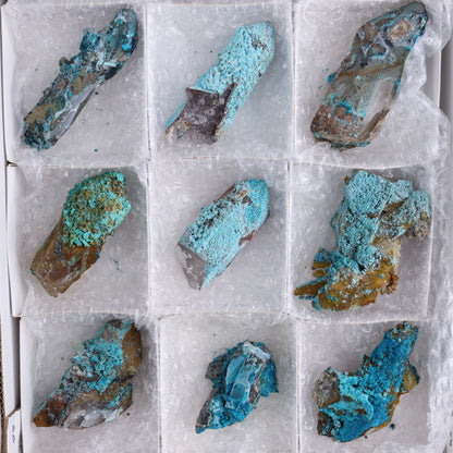 Chrysocolla on Quartz Roughs Set of 12 - Expert Wholesale and Supplier of Wholesale Crystals & Bulk Gemstones, ["Chrysocolla","Flats","Freeforms","Peru","Quartz","Rough"]