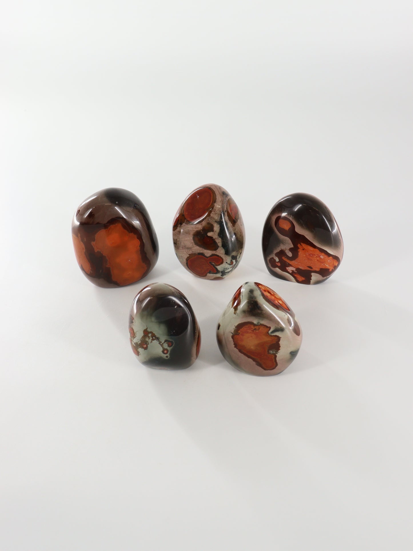 Polychrome Jasper Freeforms Set of 5 - Expert Wholesale and Supplier of Wholesale Crystals & Bulk Gemstones, []