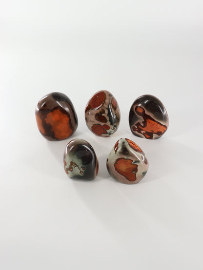Polychrome Jasper Freeforms Set of 5 - Expert Wholesale and Supplier of Wholesale Crystals & Bulk Gemstones, []