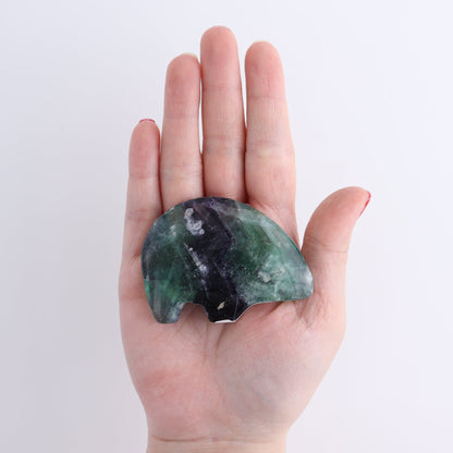 Fluorite Bears set of 6