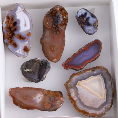 Coyamito Agate Geodes from Mexico Set of 7 - Expert Wholesale and Supplier of Wholesale Crystals & Bulk Gemstones, ["Agate","Coyamito Agate","Geodes","Mexico"]