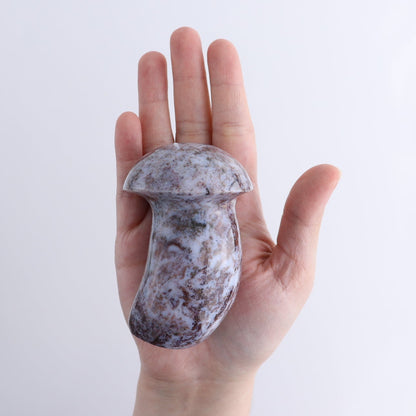 Jasper Mushrooms Set of 5
