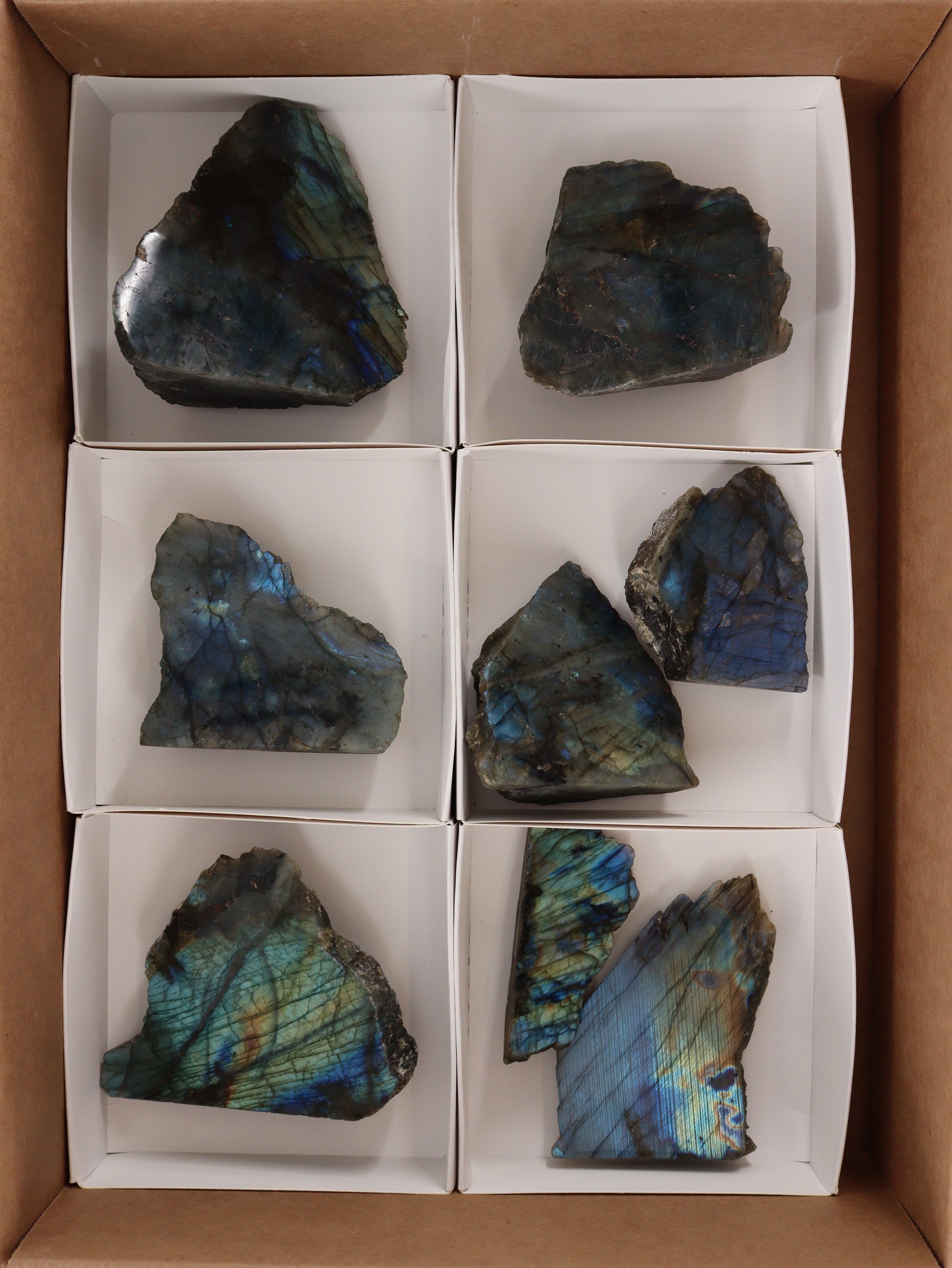 Labradorite Face Polished Flat - Expert Wholesale and Supplier of Wholesale Crystals & Bulk Gemstones, []