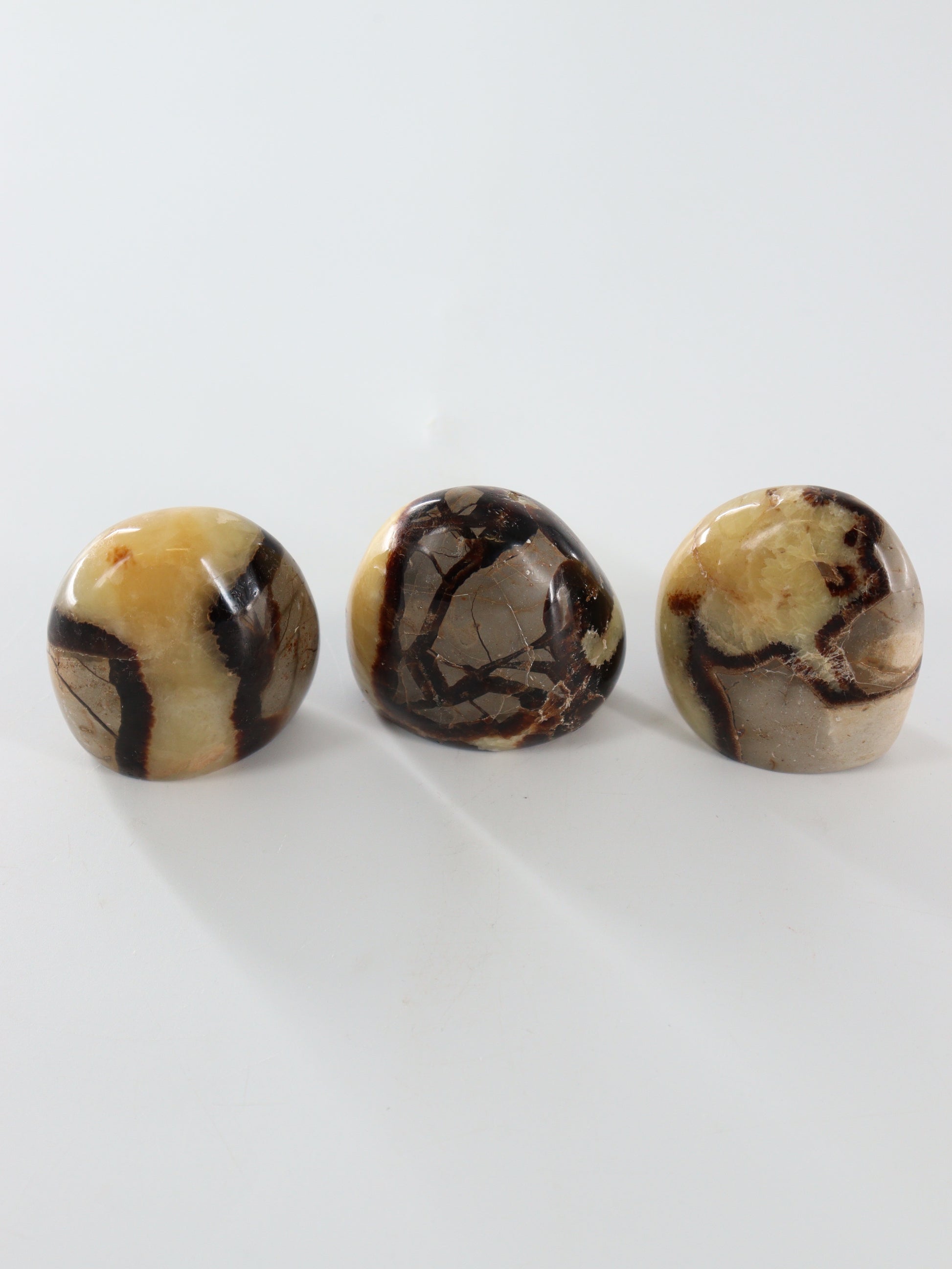 Septarian Freeforms Set of 12 - Expert Wholesale and Supplier of Wholesale Crystals & Bulk Gemstones, []