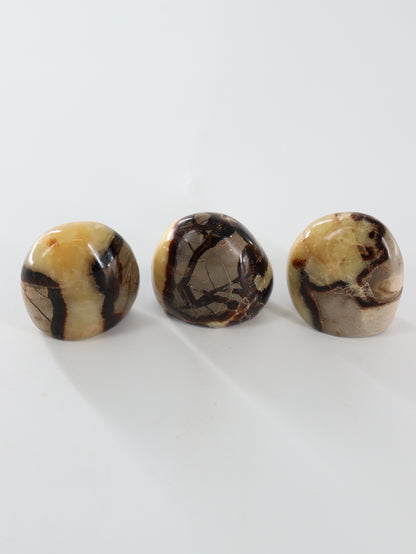 Septarian Freeforms Set of 12 - Expert Wholesale and Supplier of Wholesale Crystals & Bulk Gemstones, []