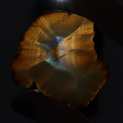 Iris Agate Slices Set of 9 - Expert Wholesale and Supplier of Wholesale Crystals & Bulk Gemstones, ["Agate","Iris Agate","Slices and Slabs"]