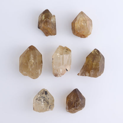 Citrine Roughs Set of 7