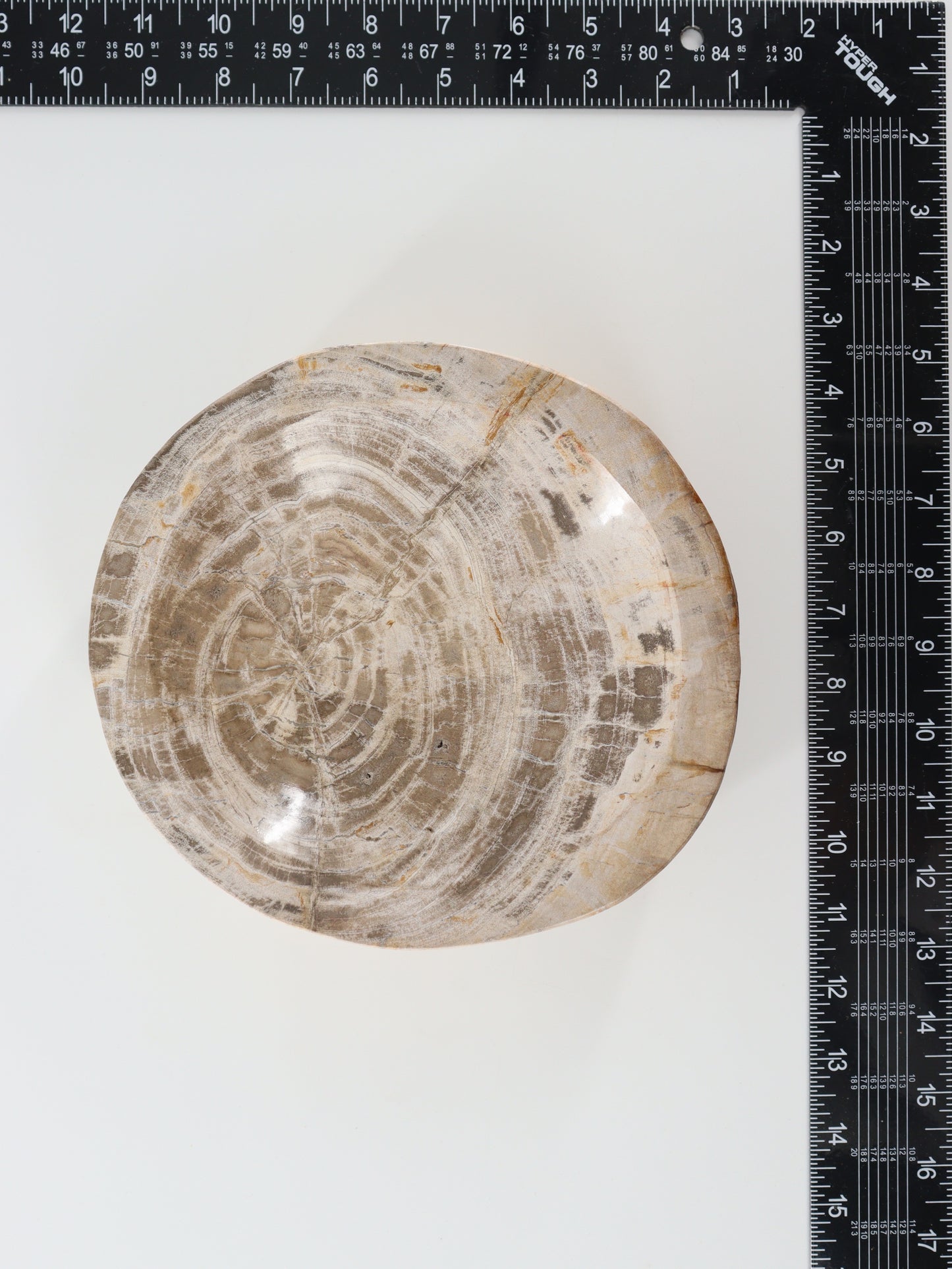 Petrified Wood Bowl - Expert Wholesale and Supplier of Wholesale Crystals & Bulk Gemstones, []