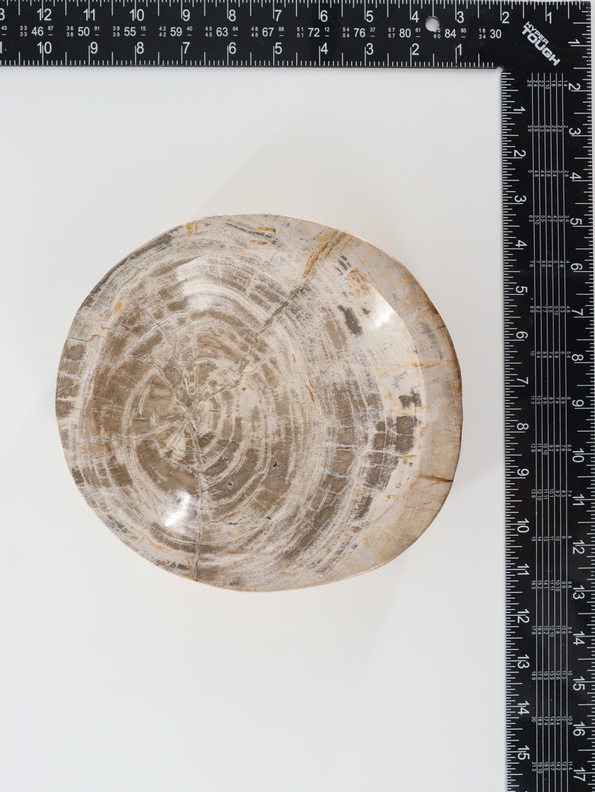 Petrified Wood Bowl - Expert Wholesale and Supplier of Wholesale Crystals & Bulk Gemstones, []