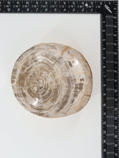 Petrified Wood Bowl - Expert Wholesale and Supplier of Wholesale Crystals & Bulk Gemstones, []