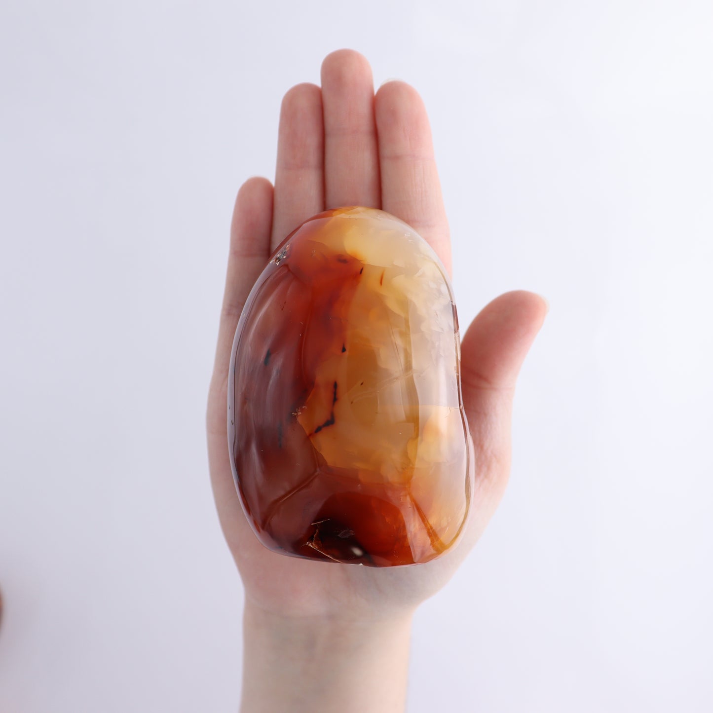 Carnelian Freeform Set of 10 - Expert Wholesale and Supplier of Wholesale Crystals & Bulk Gemstones, ["carnelian","Freeforms","Madagascar"]