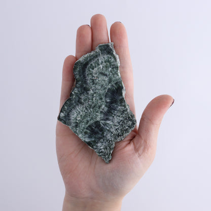 Seraphinite Slices Set of 12 - Expert Wholesale and Supplier of Wholesale Crystals & Bulk Gemstones, ["Seraphinite","Slices and Slabs"]