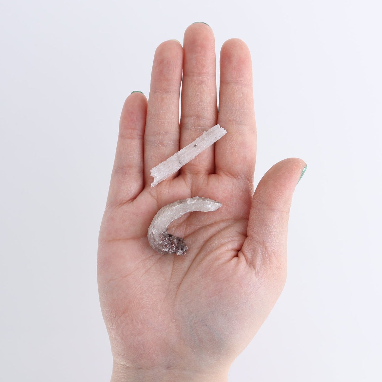 Rams Horn Selenite Flat