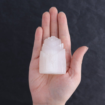 One Selenite (Satin Spar) Fish Tail 6 cm