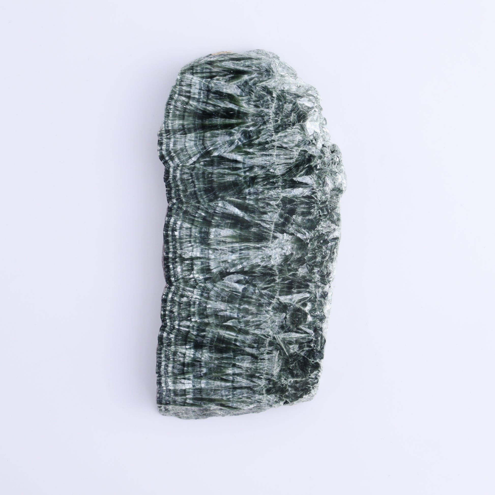 Seraphinite Slices Set of 4 - Expert Wholesale and Supplier of Wholesale Crystals & Bulk Gemstones, ["Russia","Seraphinite","Slices and Slabs"]