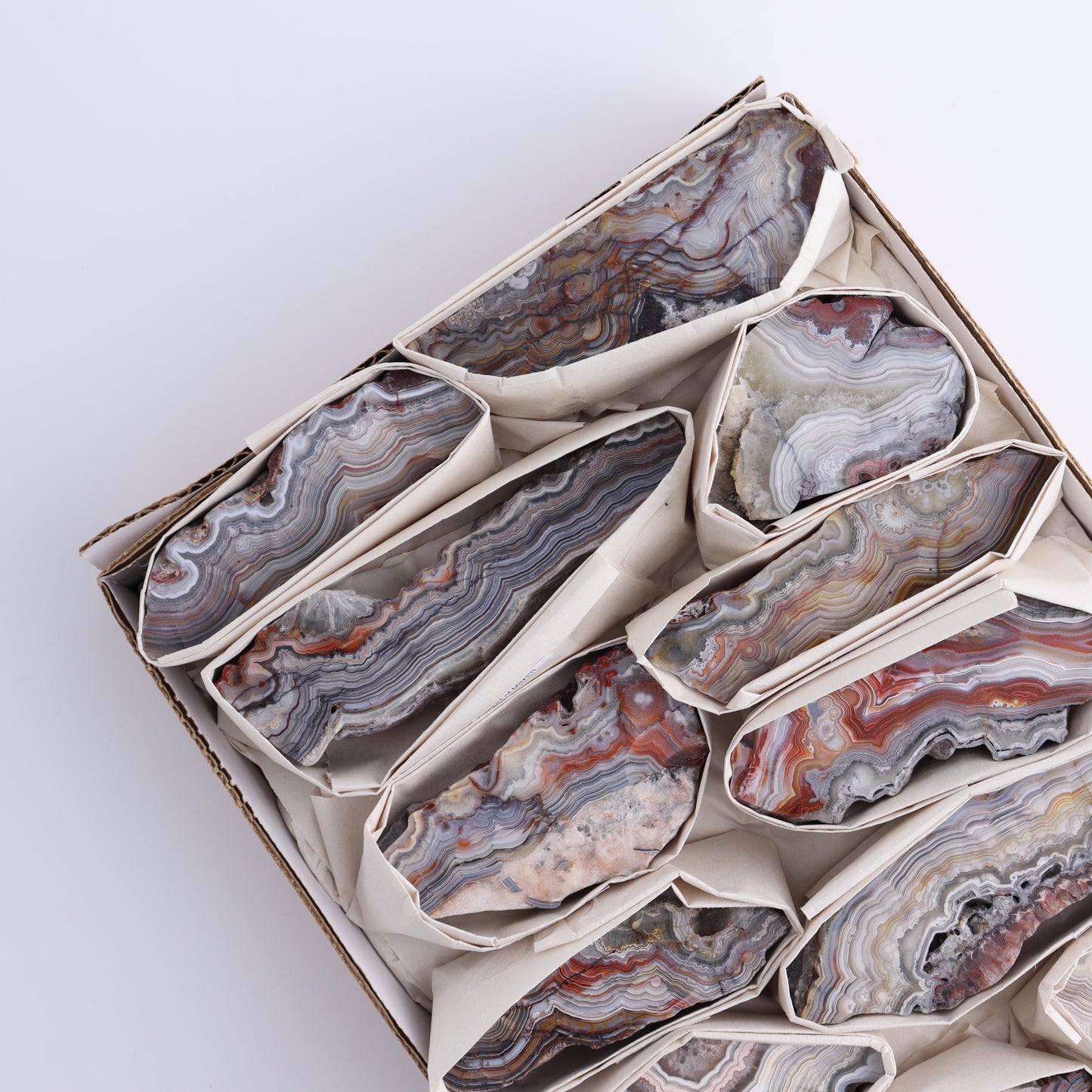 Crazy Lace Agate Flat of 12 - Expert Wholesale and Supplier of Wholesale Crystals & Bulk Gemstones, ["Crazy Lace Agate","Mexico"]