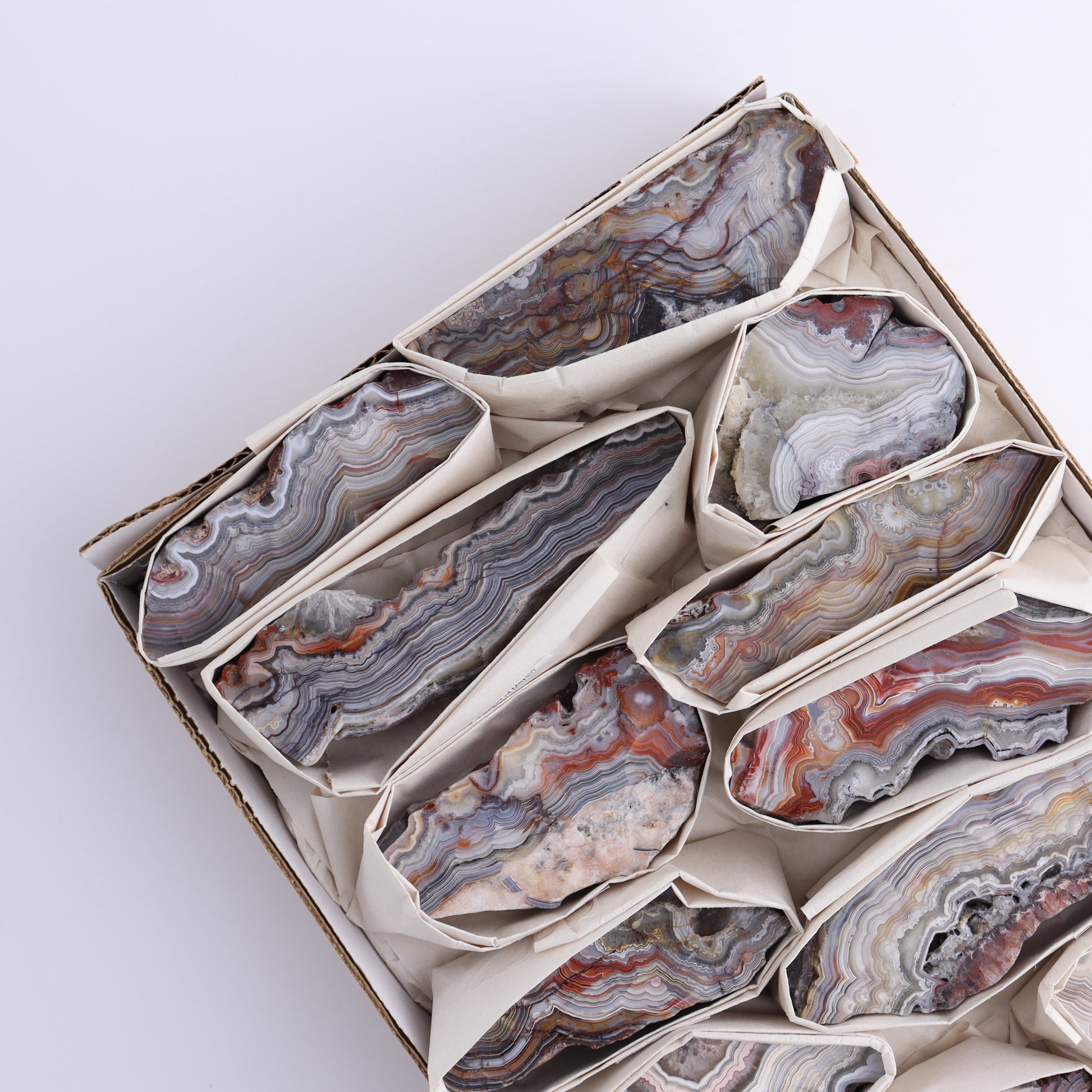 Crazy Lace Agate Flat of 12 - Expert Wholesale and Supplier of Wholesale Crystals & Bulk Gemstones, ["Crazy Lace Agate","Mexico"]