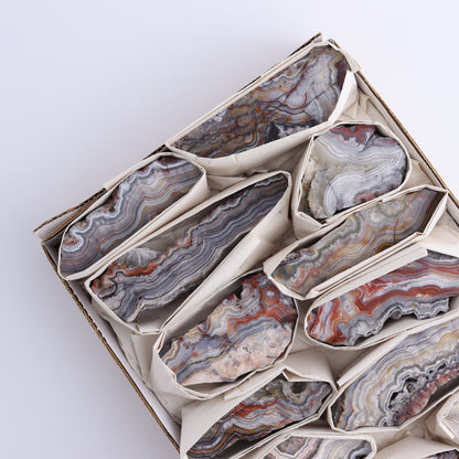 Crazy Lace Agate Flat of 12 - Expert Wholesale and Supplier of Wholesale Crystals & Bulk Gemstones, ["Crazy Lace Agate","Mexico"]