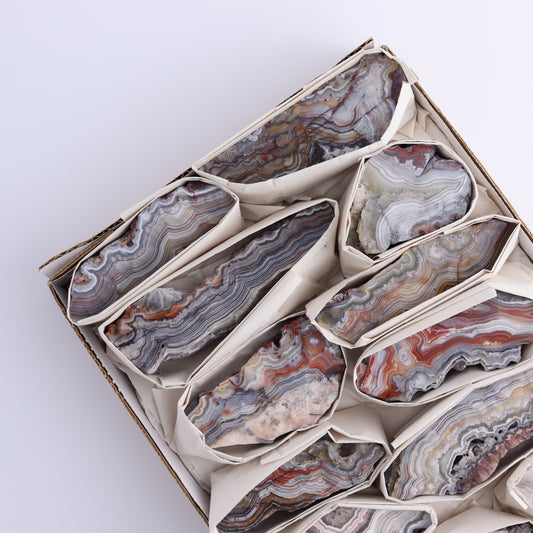 Crazy Lace Agate Flat of 12 - Expert Wholesale and Supplier of Wholesale Crystals & Bulk Gemstones, ["Crazy Lace Agate","Mexico"]