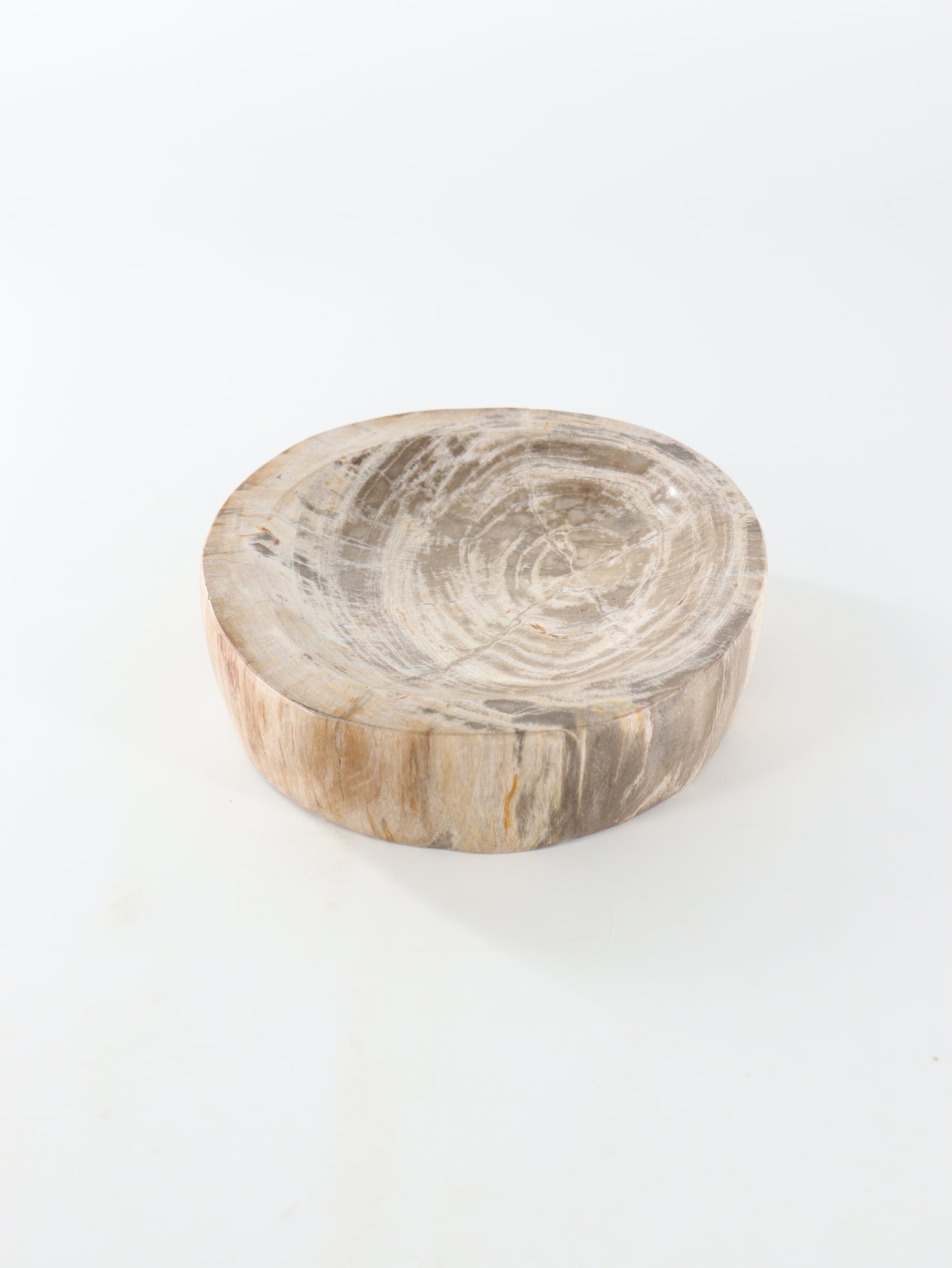Petrified Wood Bowl - Expert Wholesale and Supplier of Wholesale Crystals & Bulk Gemstones, []