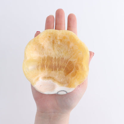 One Mexican Onyx/Calcite Orange Zebra Scalloped Dish 10 cm