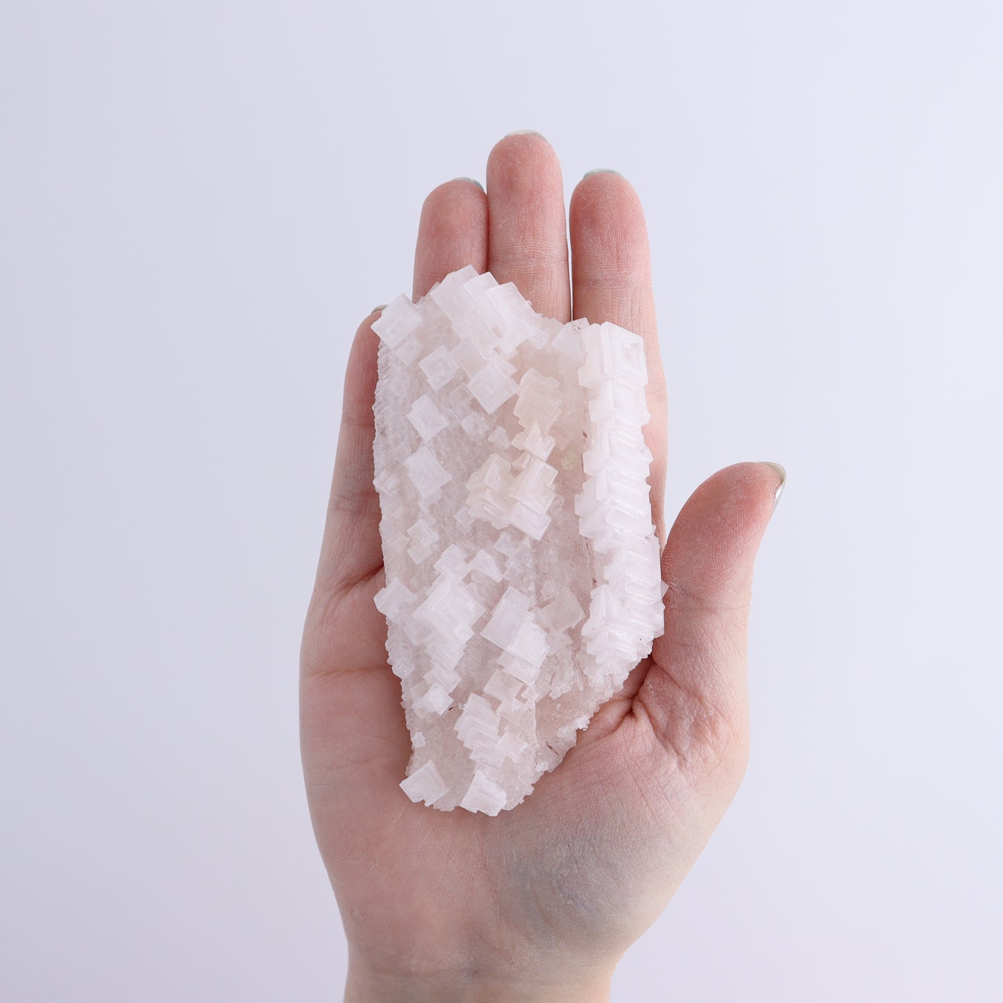 Pink Halite Set of 12 - Expert Wholesale and Supplier of Wholesale Crystals & Bulk Gemstones, ["Flats","Halite","Pink Halite","United States"]