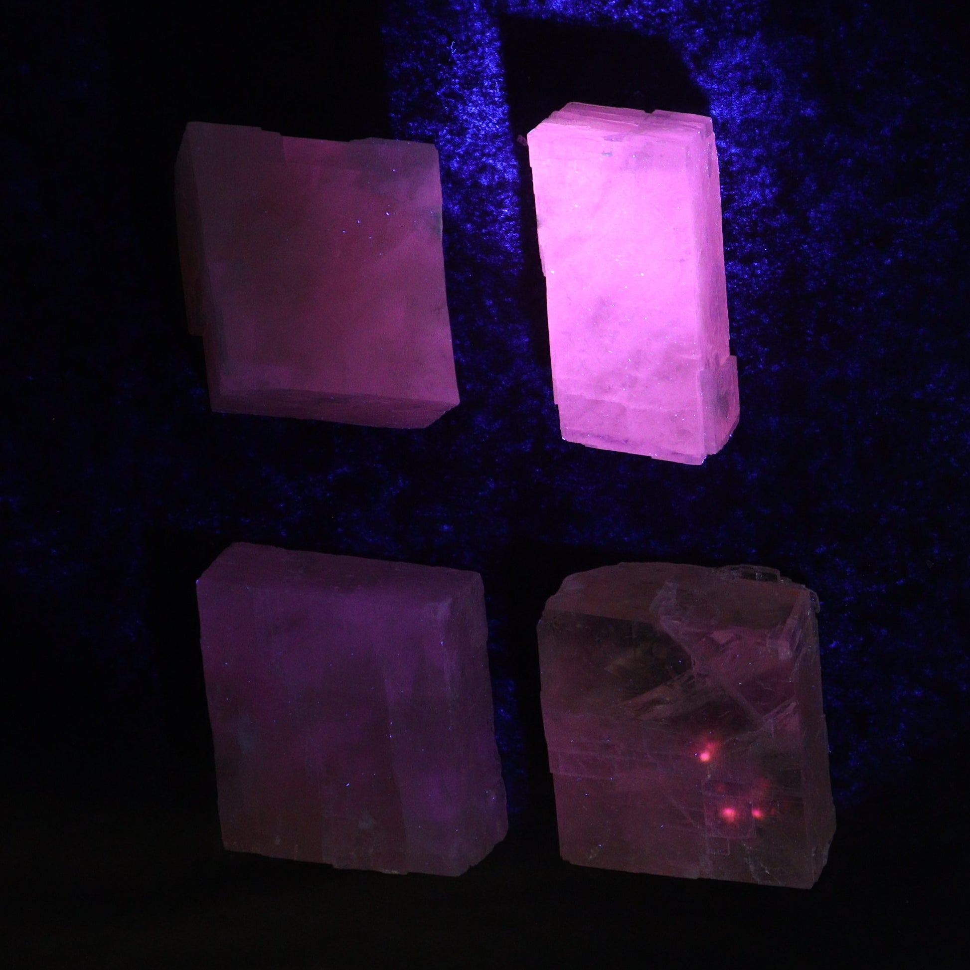 Pink Optical Calcite (Fluorescent) Set of 24 - Expert Wholesale and Supplier of Wholesale Crystals & Bulk Gemstones, ["Calcite","Mexico","Optical Calcite"]
