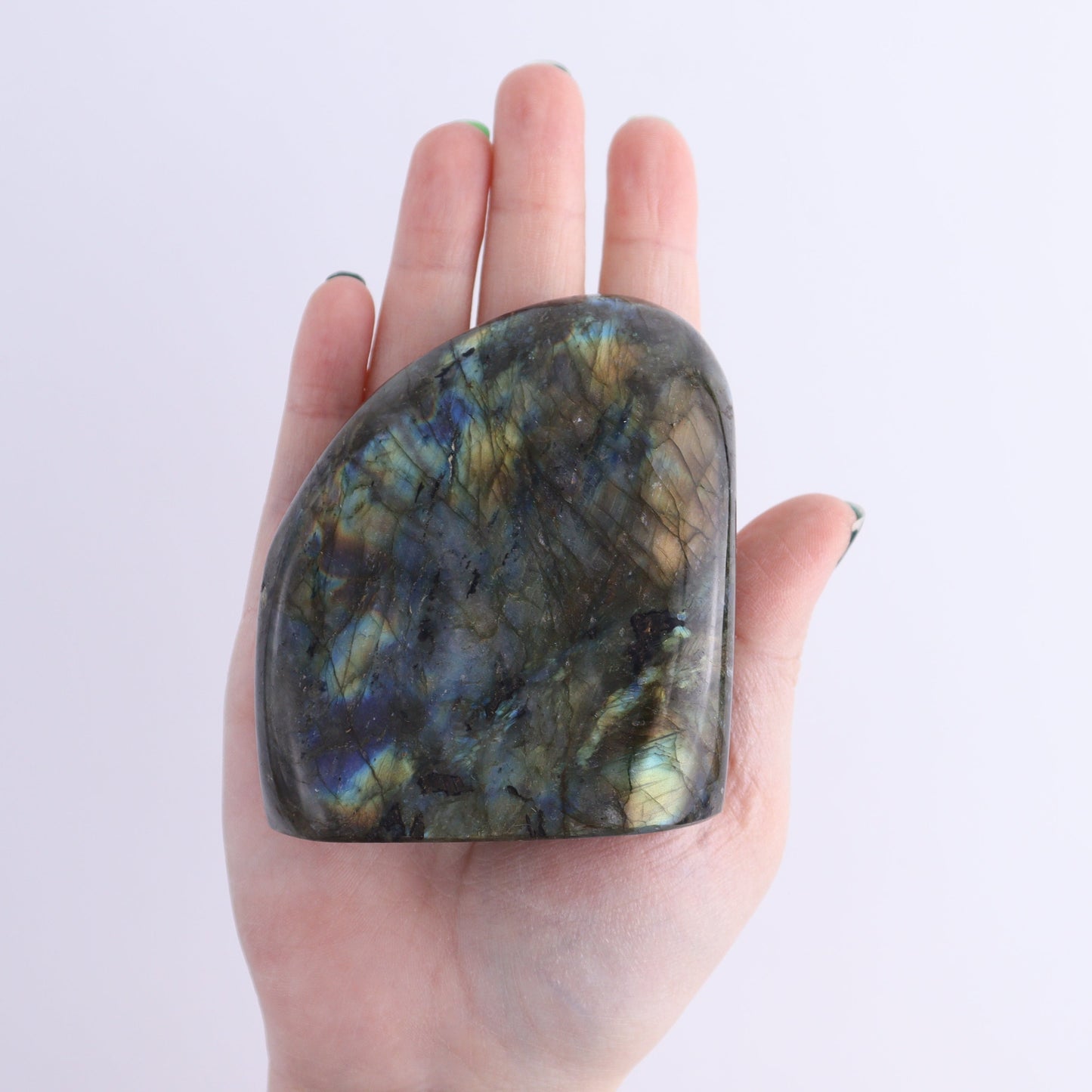 Labradorite Freeform Set of 7 - Expert Wholesale and Supplier of Wholesale Crystals & Bulk Gemstones, ["Freeforms","Labradorite","Madagascar"]