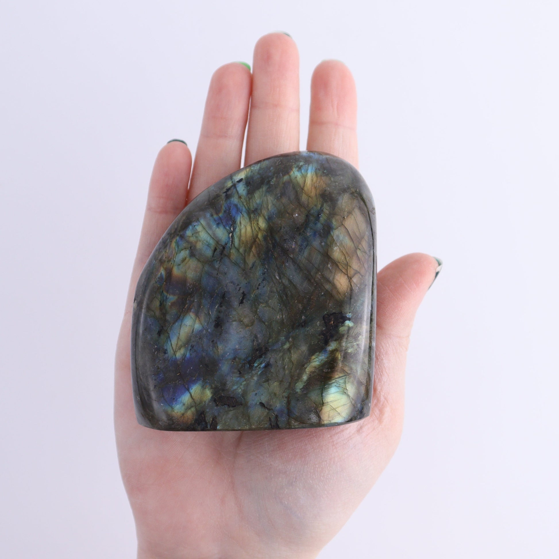 Labradorite Freeform Set of 7 - Expert Wholesale and Supplier of Wholesale Crystals & Bulk Gemstones, ["Freeforms","Labradorite","Madagascar"]