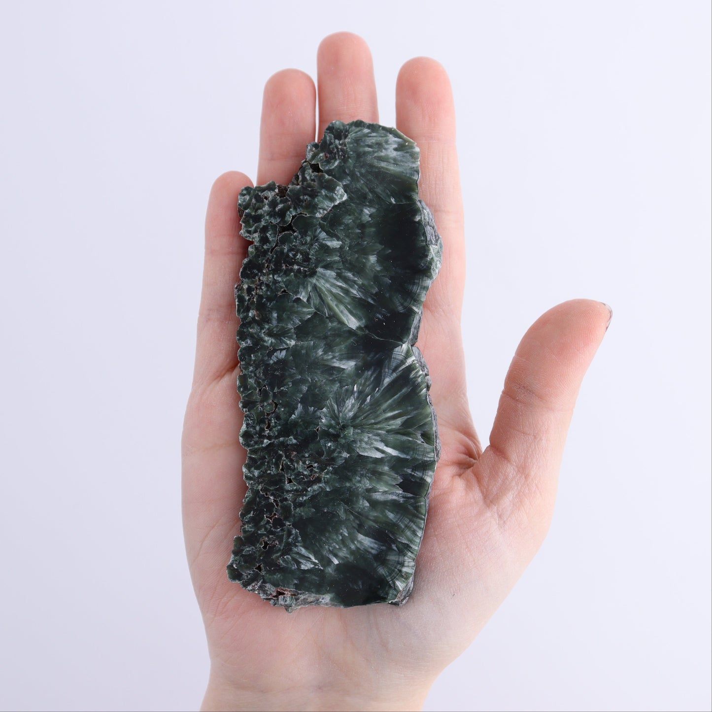 Seraphinite Slices Set of 4 - Expert Wholesale and Supplier of Wholesale Crystals & Bulk Gemstones, ["Russia","Seraphinite","Slices and Slabs"]