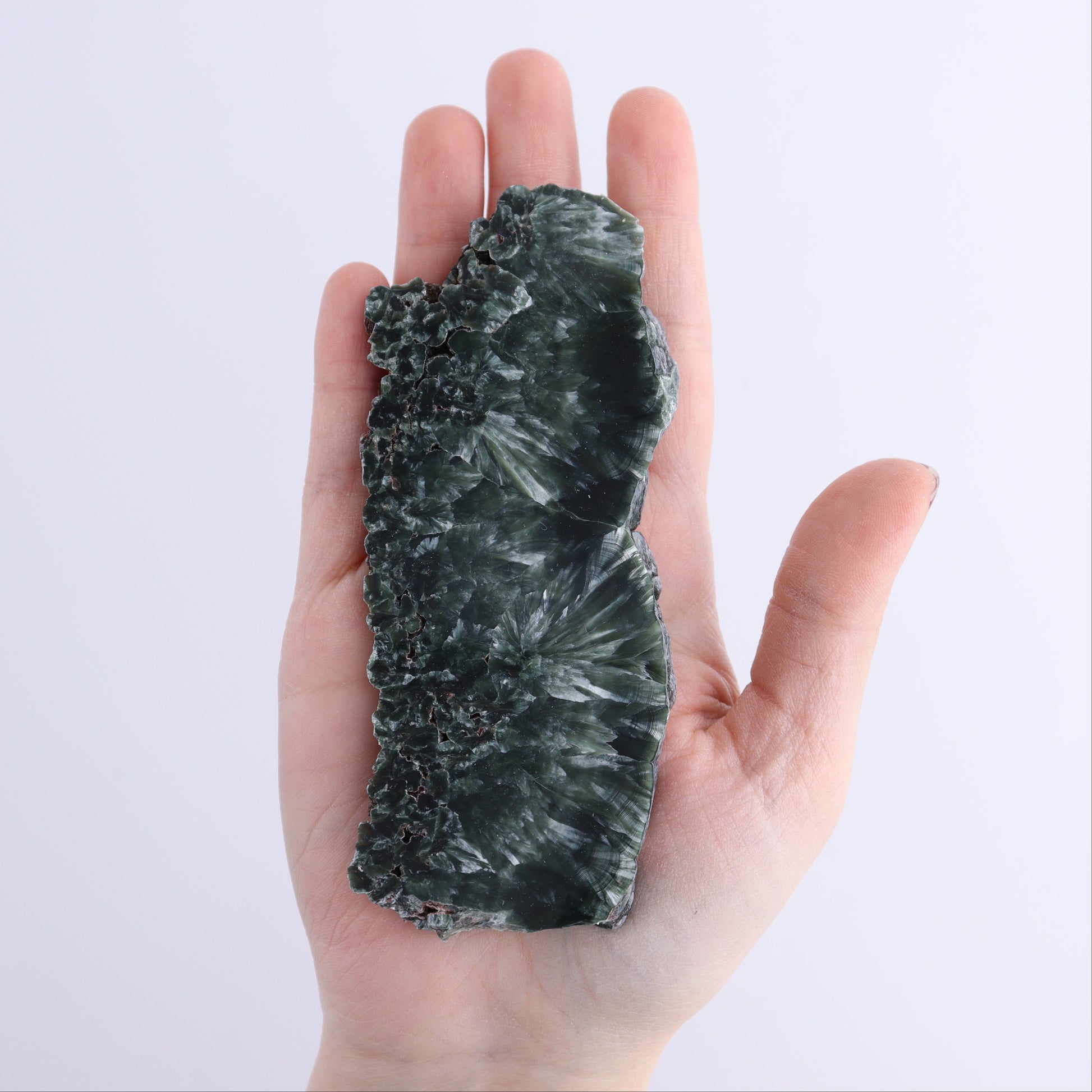 Seraphinite Slices Set of 4 - Expert Wholesale and Supplier of Wholesale Crystals & Bulk Gemstones, ["Russia","Seraphinite","Slices and Slabs"]