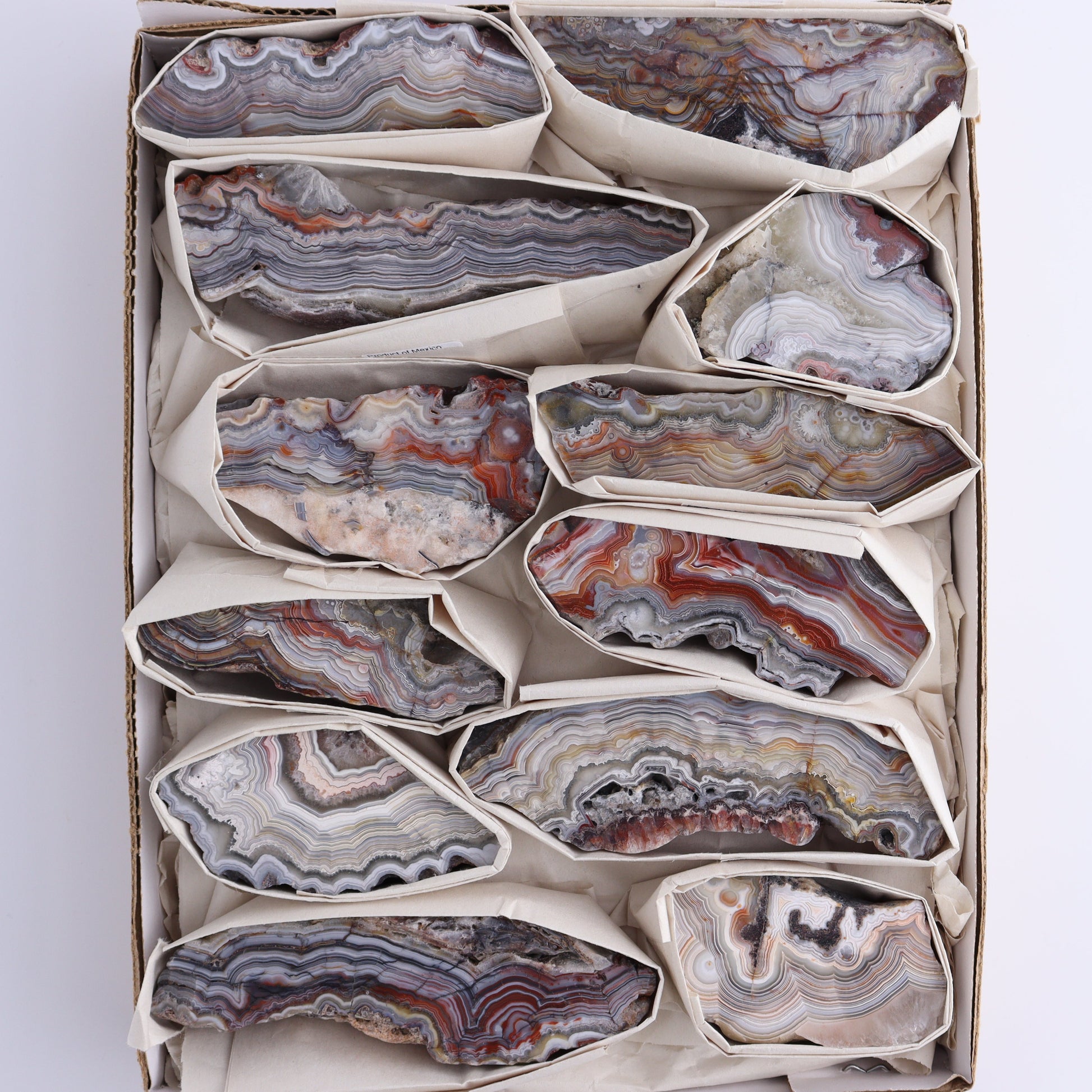 Crazy Lace Agate Flat of 12 - Expert Wholesale and Supplier of Wholesale Crystals & Bulk Gemstones, ["Crazy Lace Agate","Mexico"]