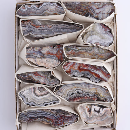 Crazy Lace Agate Flat of 12 - Expert Wholesale and Supplier of Wholesale Crystals & Bulk Gemstones, ["Crazy Lace Agate","Mexico"]
