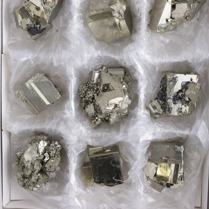 Pyrite Flat of 12 - Expert Wholesale and Supplier of Wholesale Crystals & Bulk Gemstones, ["flat","Flats","Pyrite"]