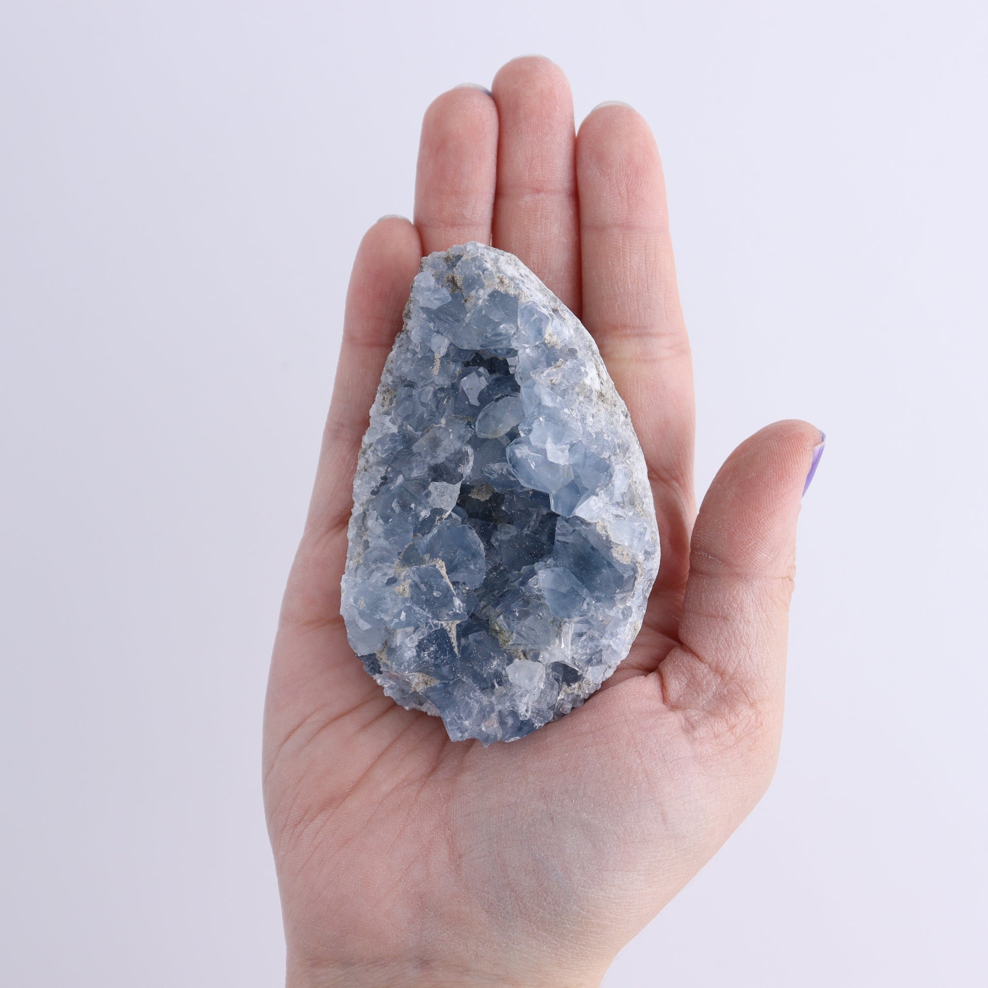 Celestite Clusters Set of 9 - Expert Wholesale and Supplier of Wholesale Crystals & Bulk Gemstones, ["Celestite","Freeform"]
