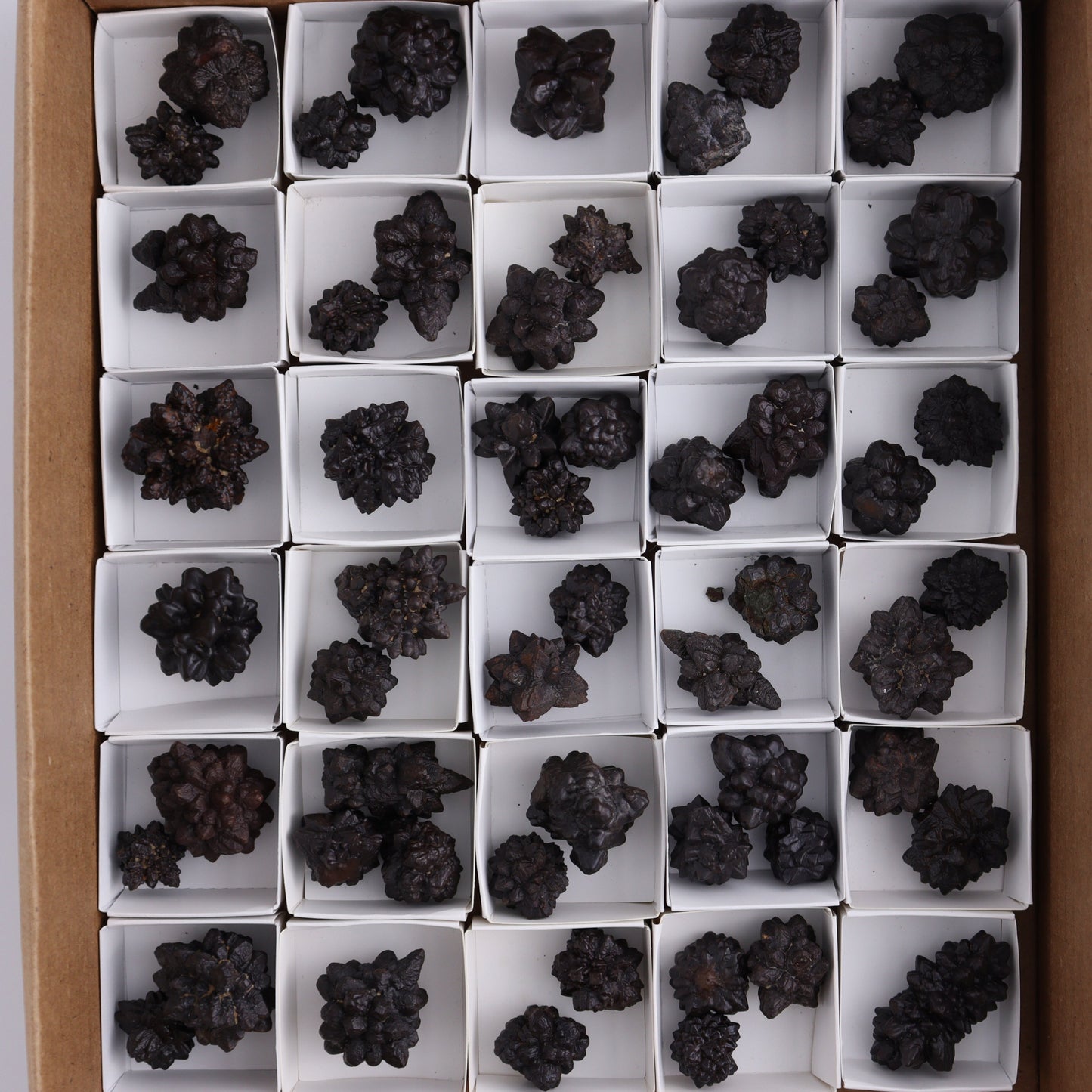 Egyptian Prophecy Stones Flat - Expert Wholesale and Supplier of Wholesale Crystals & Bulk Gemstones, ["Egypt","Freeforms","Prophecy Stone"]