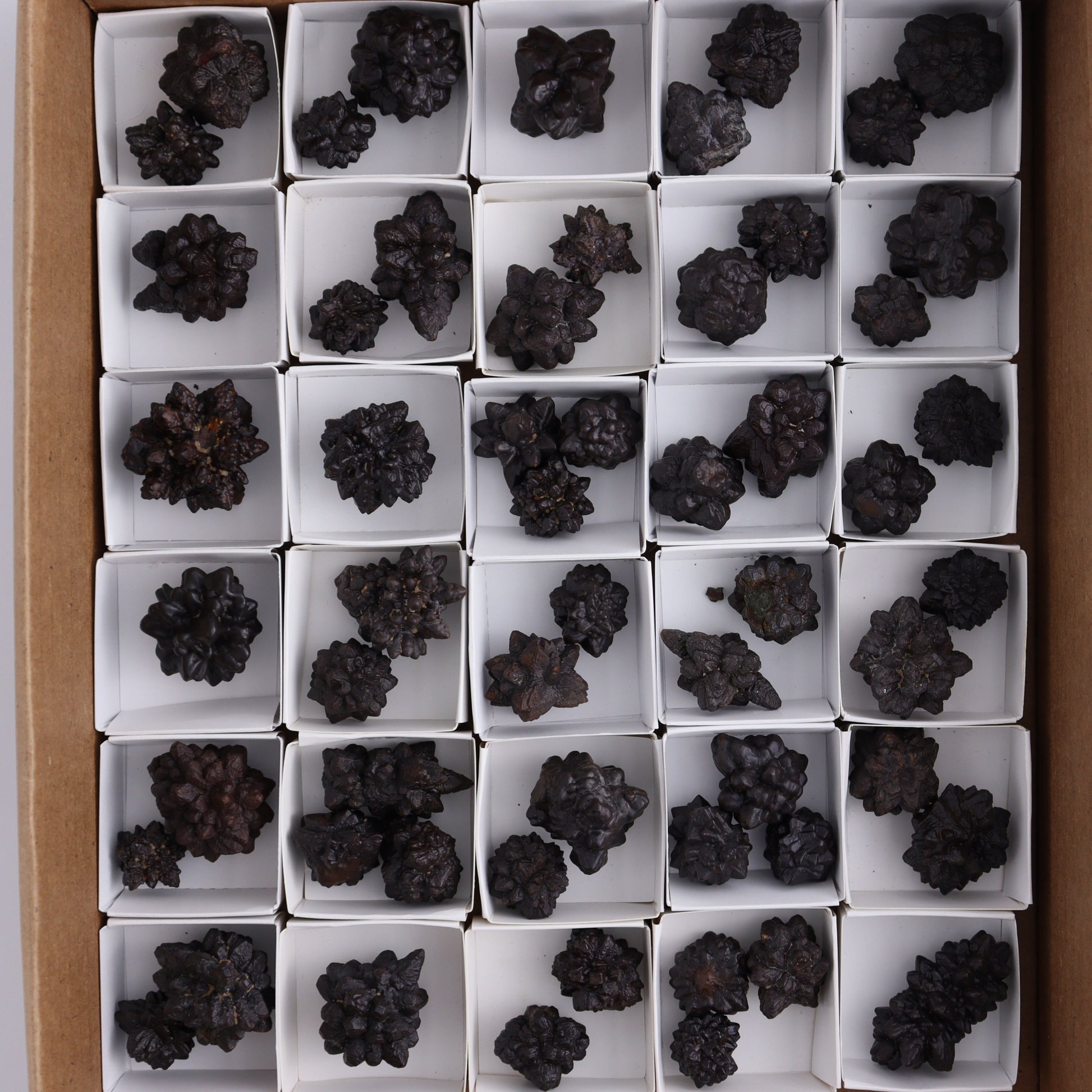 Egyptian Prophecy Stones Flat - Expert Wholesale and Supplier of Wholesale Crystals & Bulk Gemstones, ["Egypt","Freeforms","Prophecy Stone"]