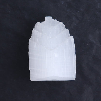 One Selenite (Satin Spar) Fish Tail 6 cm