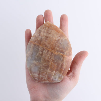 Peach Moonstone Freeform Set of 6