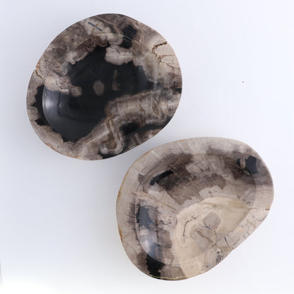 One Petrified Wood Black & Beige Polished Bowl