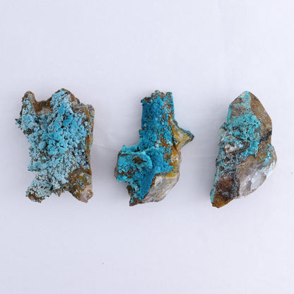 Chrysocolla on Quartz Roughs Set of 12 - Expert Wholesale and Supplier of Wholesale Crystals & Bulk Gemstones, ["Chrysocolla","Flats","Freeforms","Peru","Quartz","Rough"]