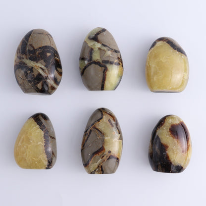 Septarian Freeforms Set of 24 - Expert Wholesale and Supplier of Wholesale Crystals & Bulk Gemstones, ["Freeforms","Madagascar","Septarian"]