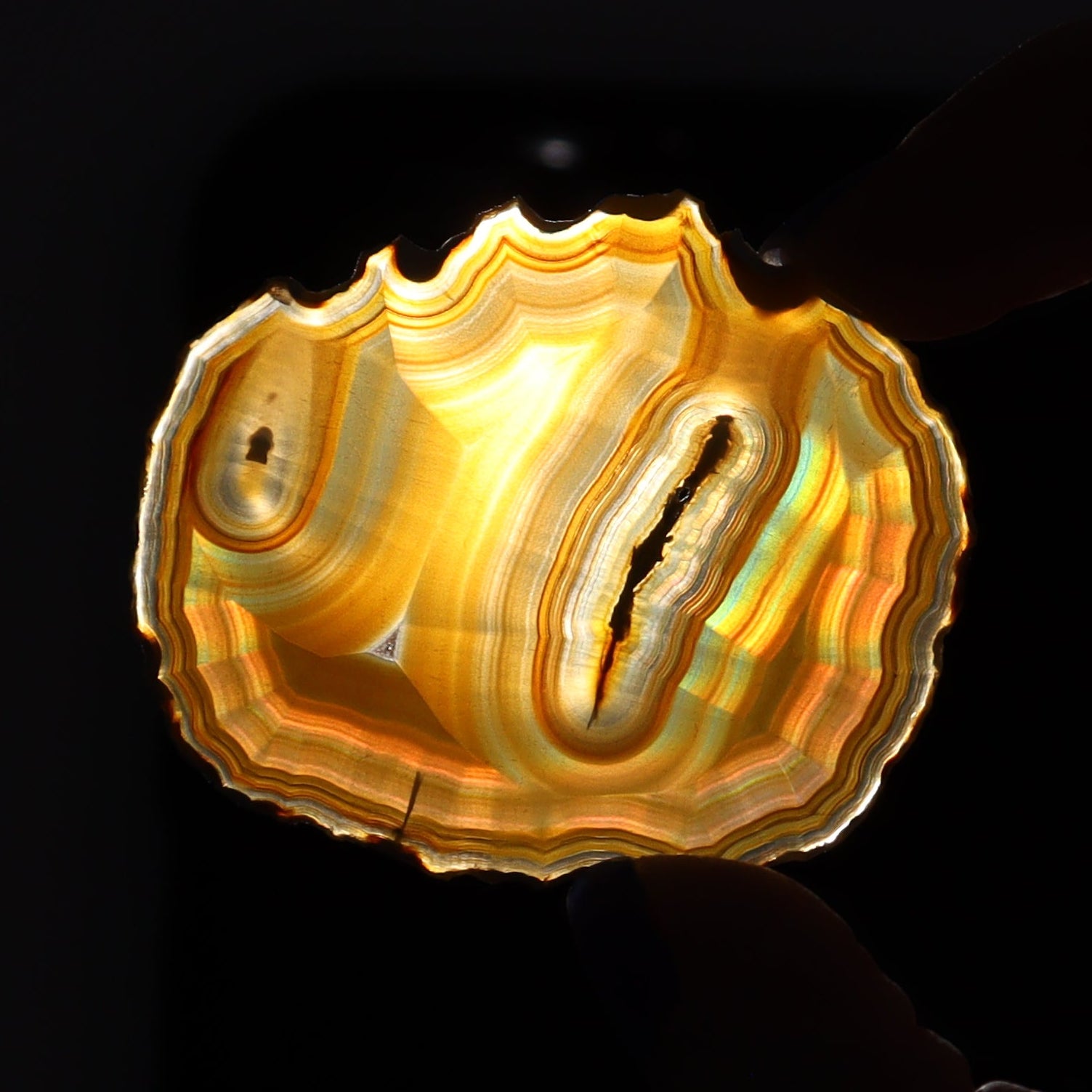 Iris Agate Slices Set of 7 - Expert Wholesale and Supplier of Wholesale Crystals & Bulk Gemstones, ["Agate","Iris Agate","Slices and Slabs"]