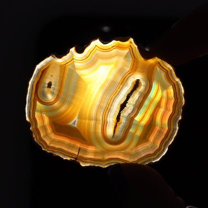 Iris Agate Slices Set of 7 - Expert Wholesale and Supplier of Wholesale Crystals & Bulk Gemstones, ["Agate","Iris Agate","Slices and Slabs"]