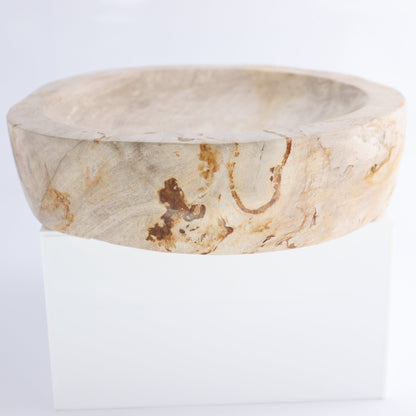 Bowl Petrified Wood - Expert Wholesale and Supplier of Wholesale Crystals & Bulk Gemstones, ["Bowls","Indonesia","Petrified Wood"]