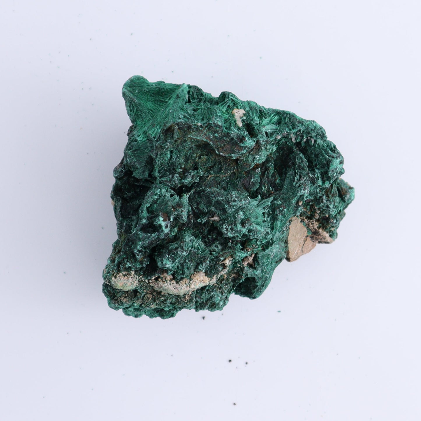 Malachite Freeforms Set of 2 - Expert Wholesale and Supplier of Wholesale Crystals & Bulk Gemstones, ["Freeform","Malachite","South Africa"]
